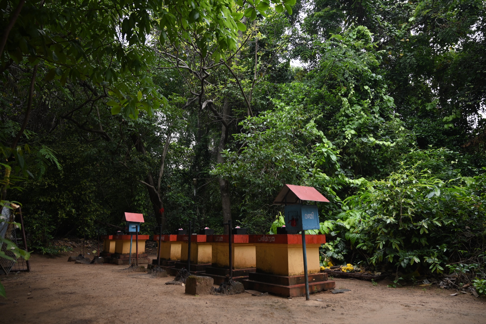 ഉപദേവതകൾ (1)